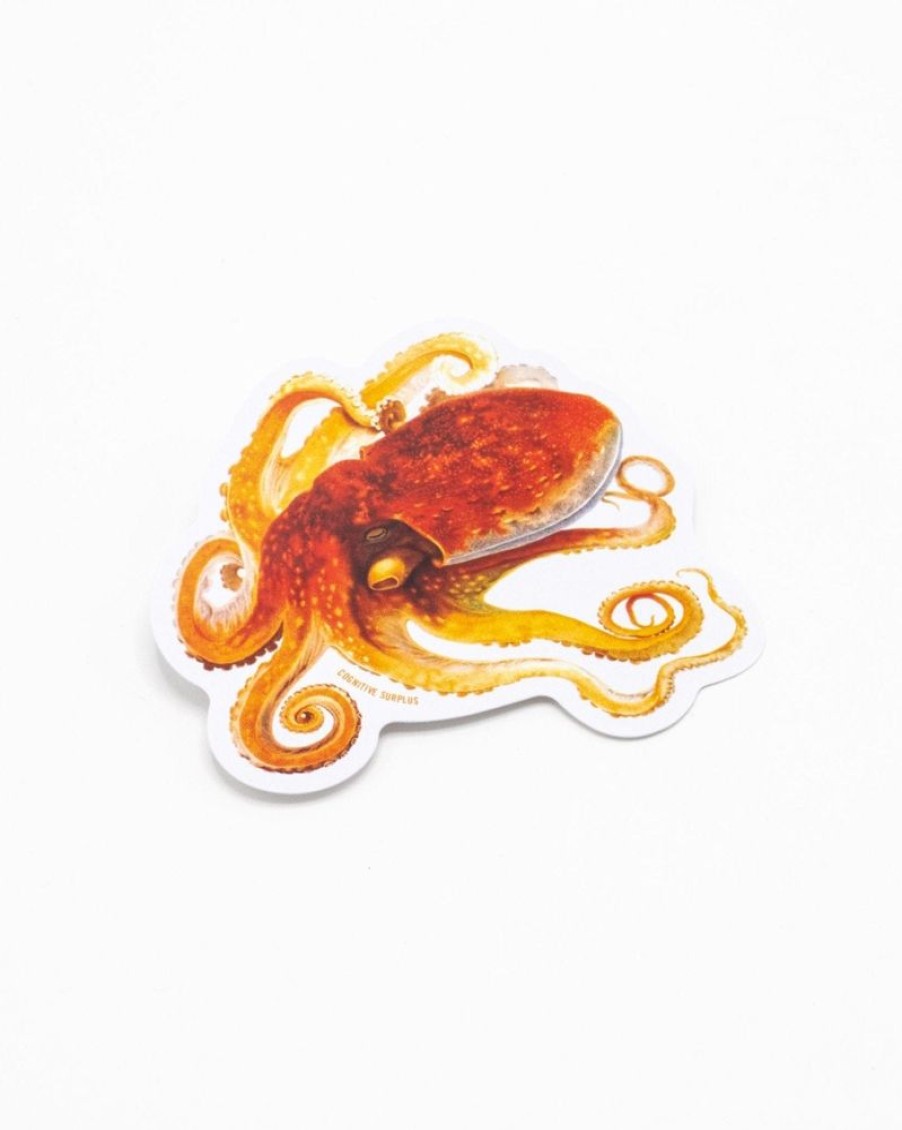 Stationery Cognitive Surplus | Octopus Sticker