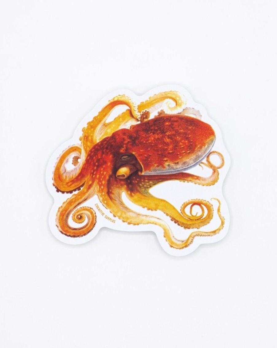 Stationery Cognitive Surplus | Octopus Sticker