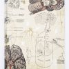 Notebooks Cognitive Surplus | Brain & Neuroscience Lab Notebook