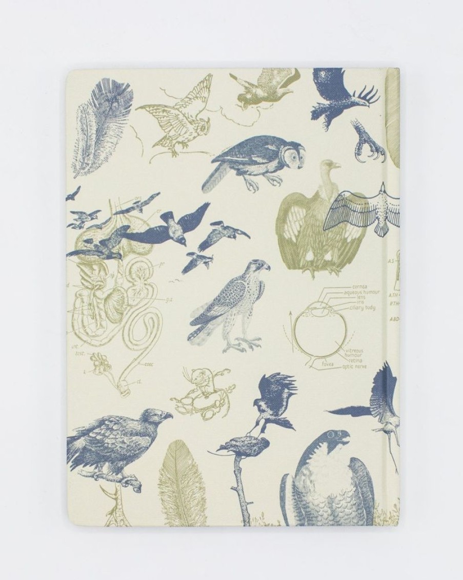 Notebooks Cognitive Surplus | Birds Of Prey Notebook - Hardcover | Ecology