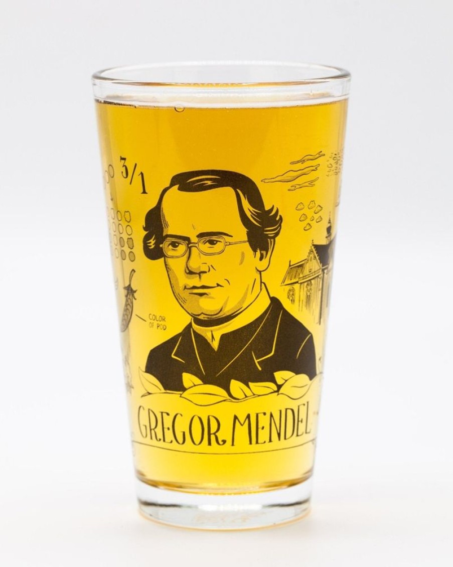 Kitchen + Bar Cognitive Surplus | Gregor Mendel Pint Glass | Microbiologist