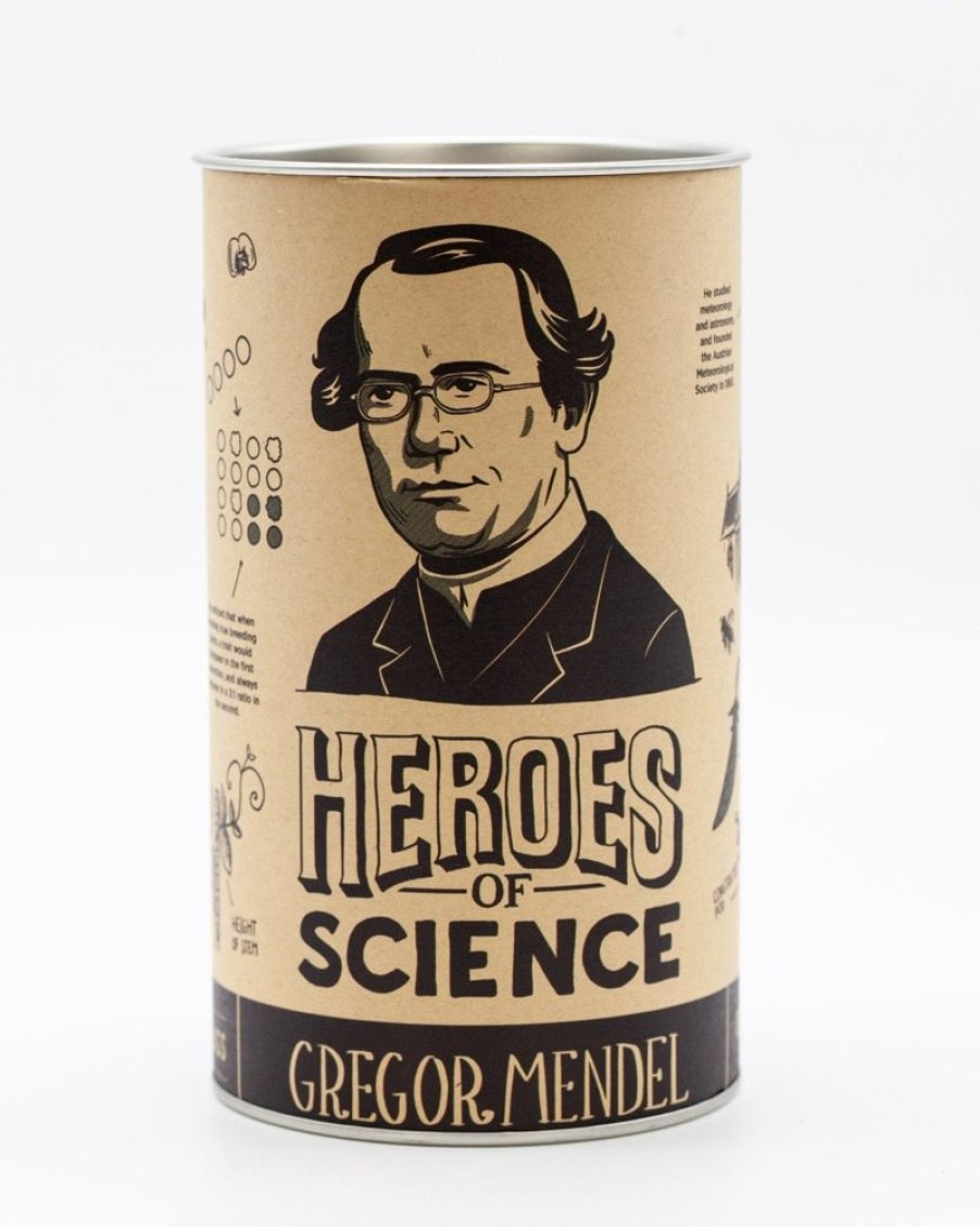 Kitchen + Bar Cognitive Surplus | Gregor Mendel Pint Glass | Microbiologist