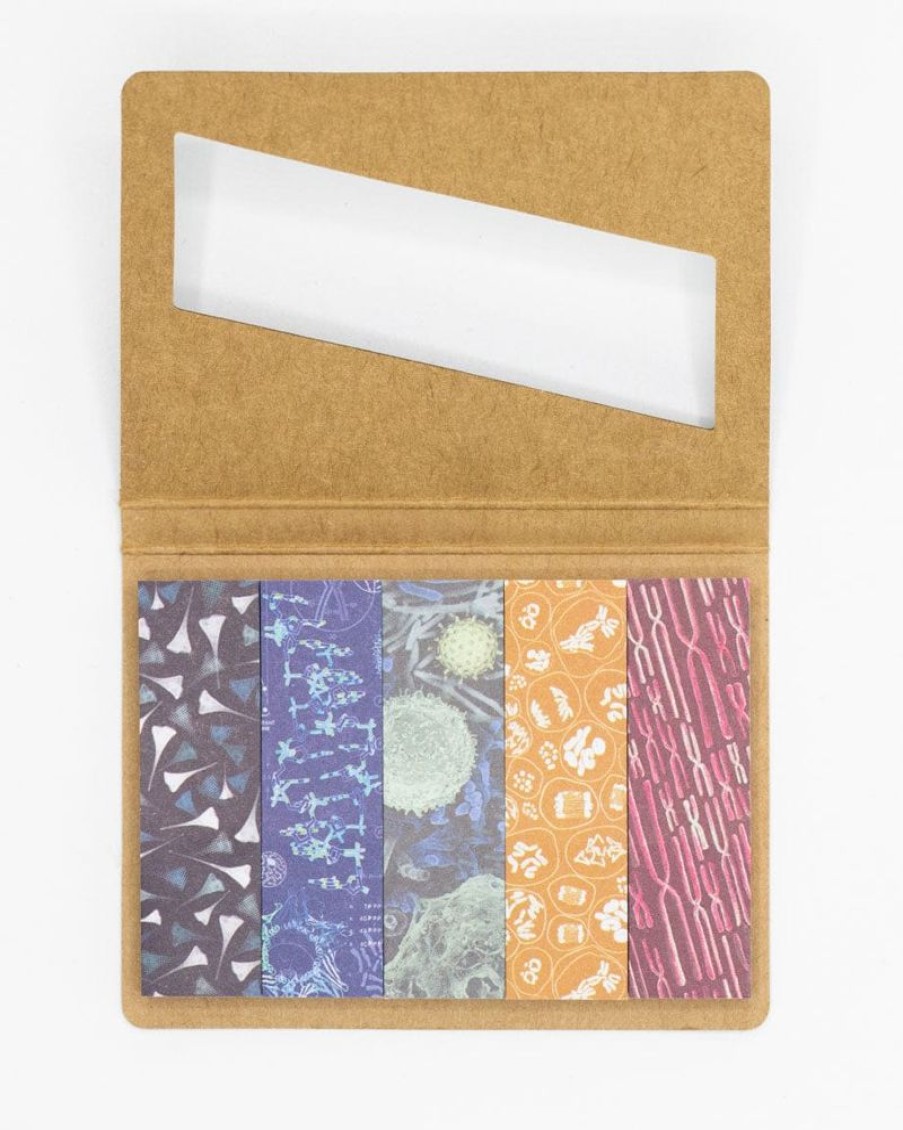 Stationery Cognitive Surplus | Look Closer: Microbiology Page Flags