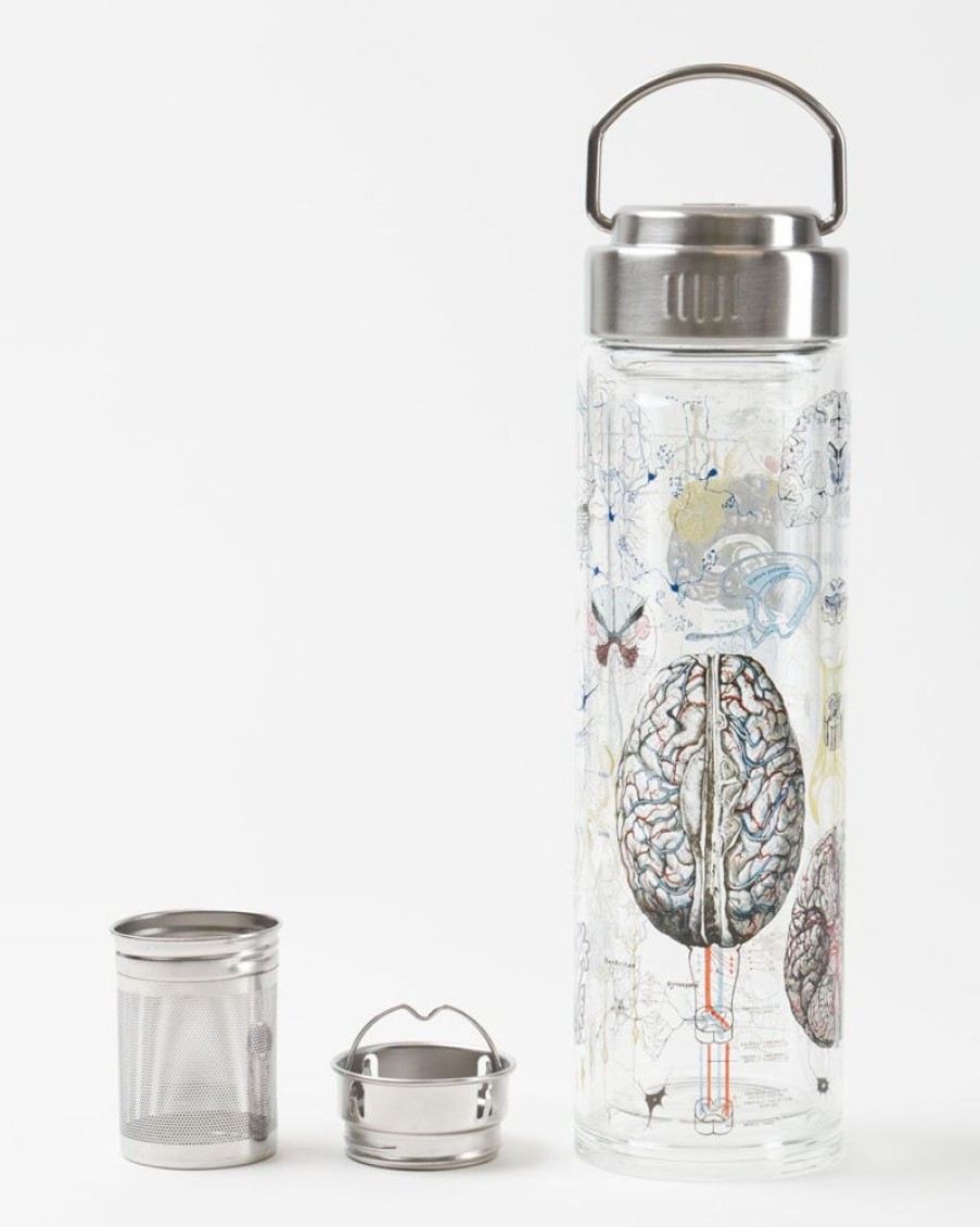 Kitchen + Bar Cognitive Surplus | Brainstorm Tea Infuser - Medical Gift | Cognitive Surplus