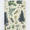 Notebooks Cognitive Surplus | Woodland Forest Hardcover - Blank