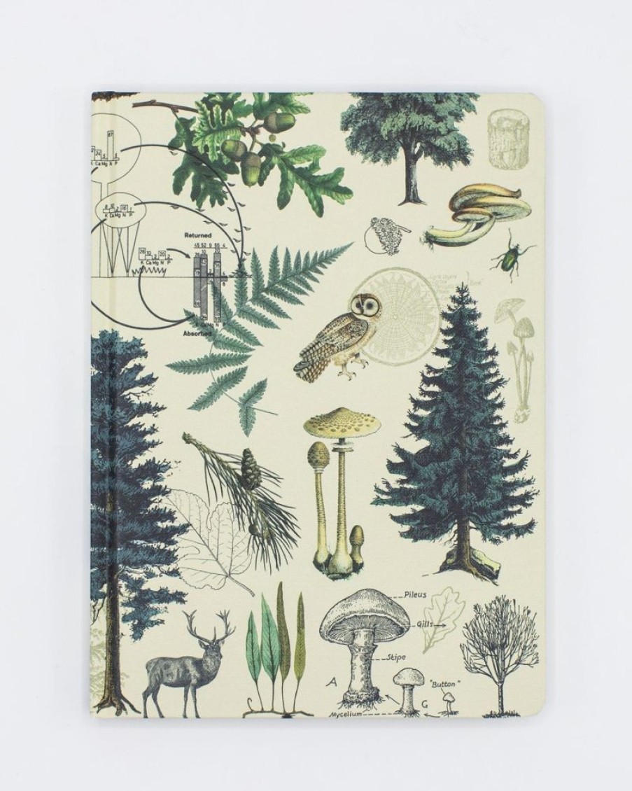 Notebooks Cognitive Surplus | Woodland Forest Hardcover - Blank