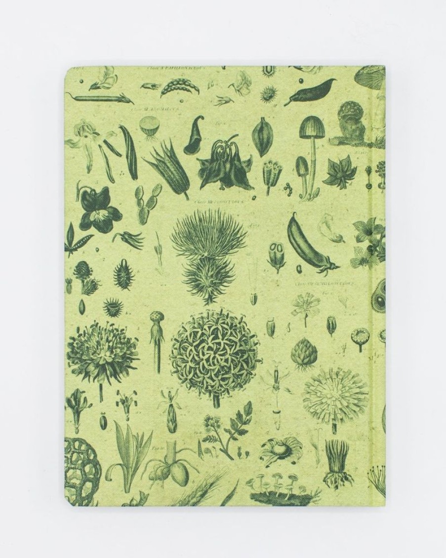 Notebooks Cognitive Surplus | Botanical Print Notebook - Hardcover | Science Notebook