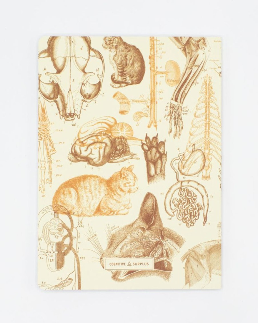 Notebooks Cognitive Surplus | Veterinary Science: Cats Softcover Notebook | Cognitive Surplus