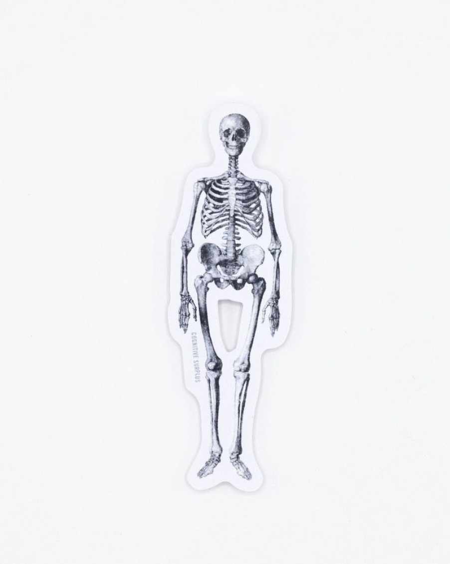 Stationery Cognitive Surplus | Skeleton Sticker