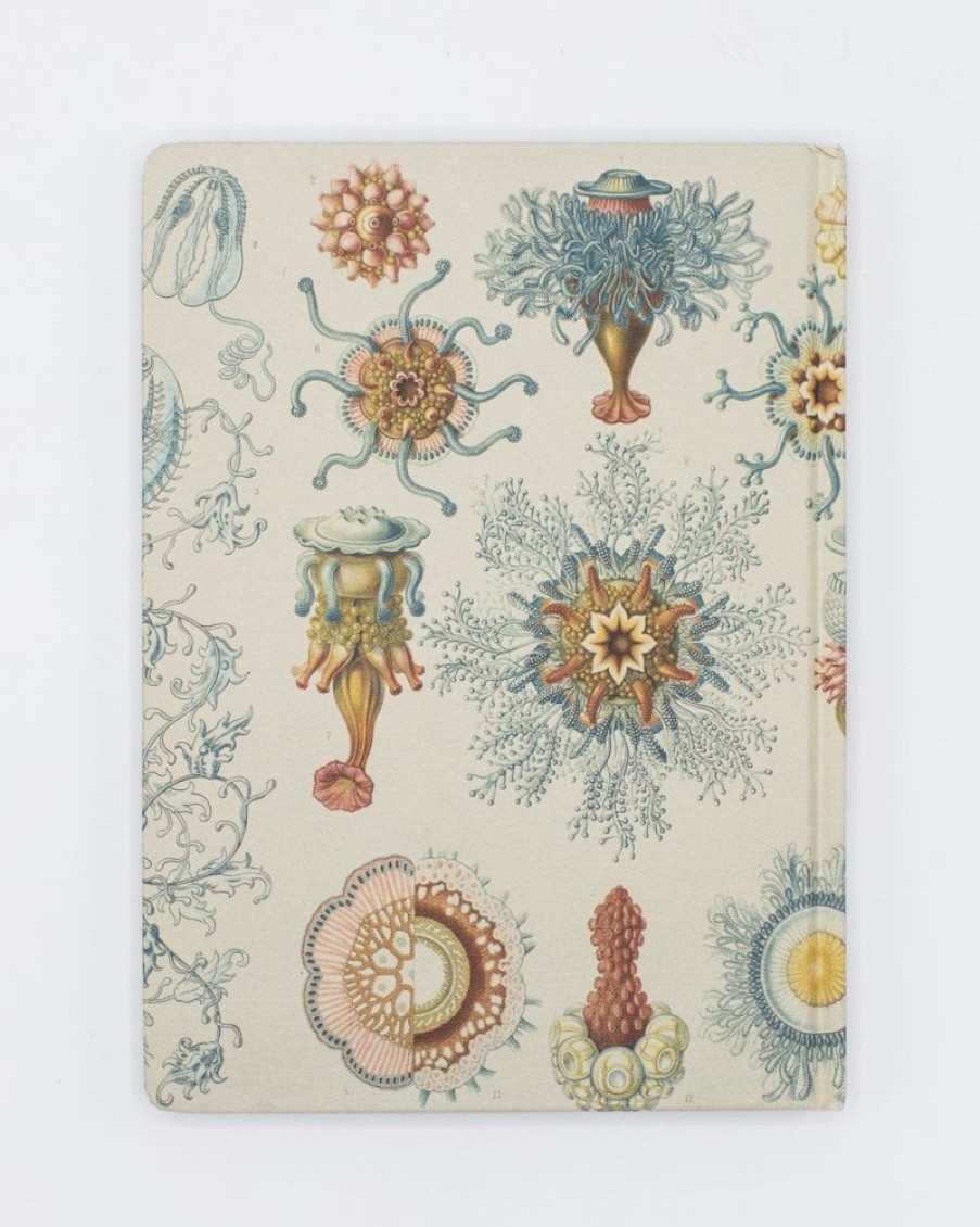 Notebooks Cognitive Surplus | Haeckel Jellyfish Hardcover - Blank