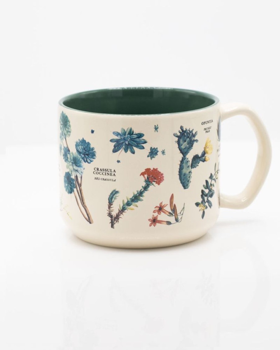 Kitchen + Bar Cognitive Surplus | Succulents Mug - Cactus Mug | Cognitive Surplus