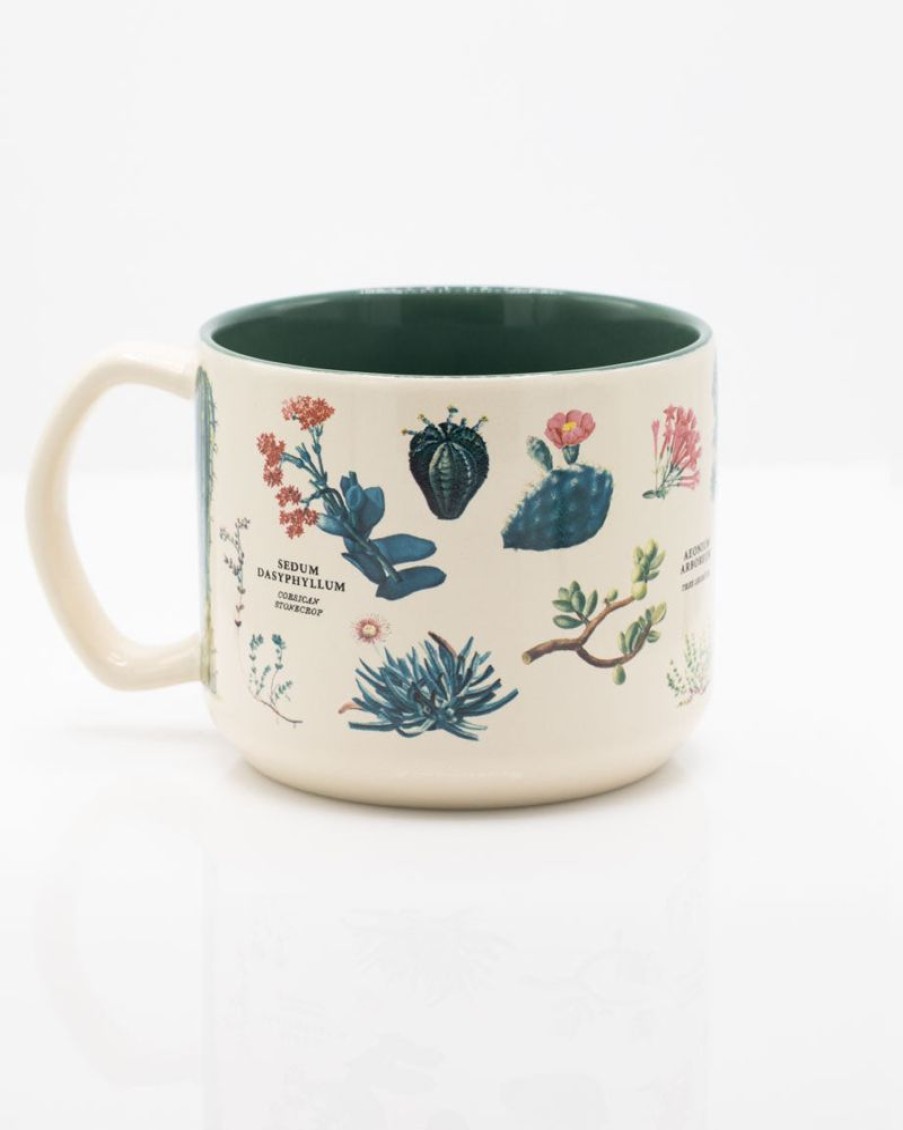 Kitchen + Bar Cognitive Surplus | Succulents Mug - Cactus Mug | Cognitive Surplus