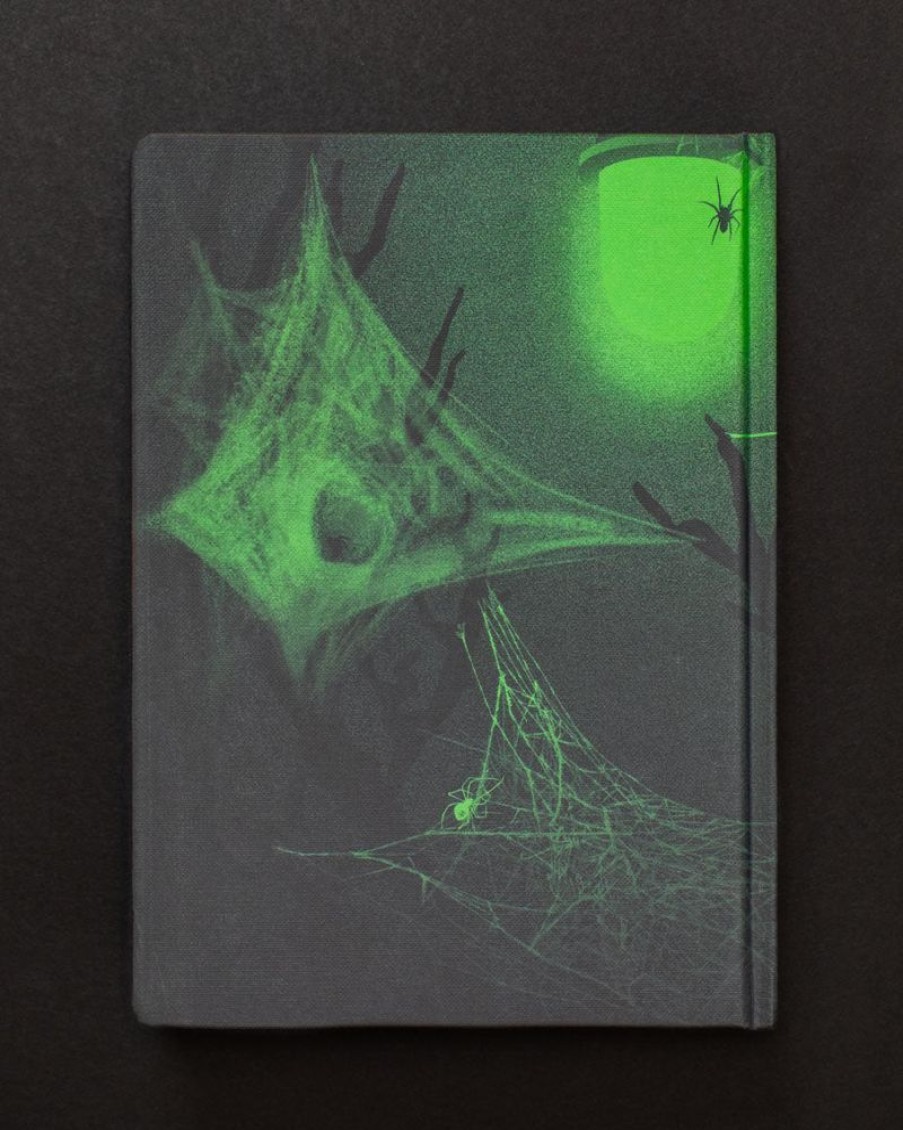 Notebooks Cognitive Surplus | Spiders & Webs Dark Matter Notebook