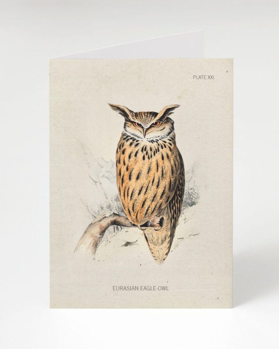 Stationery Cognitive Surplus | Eagle-Owl Bird Card - Science Stationery | Cognitive Surplus