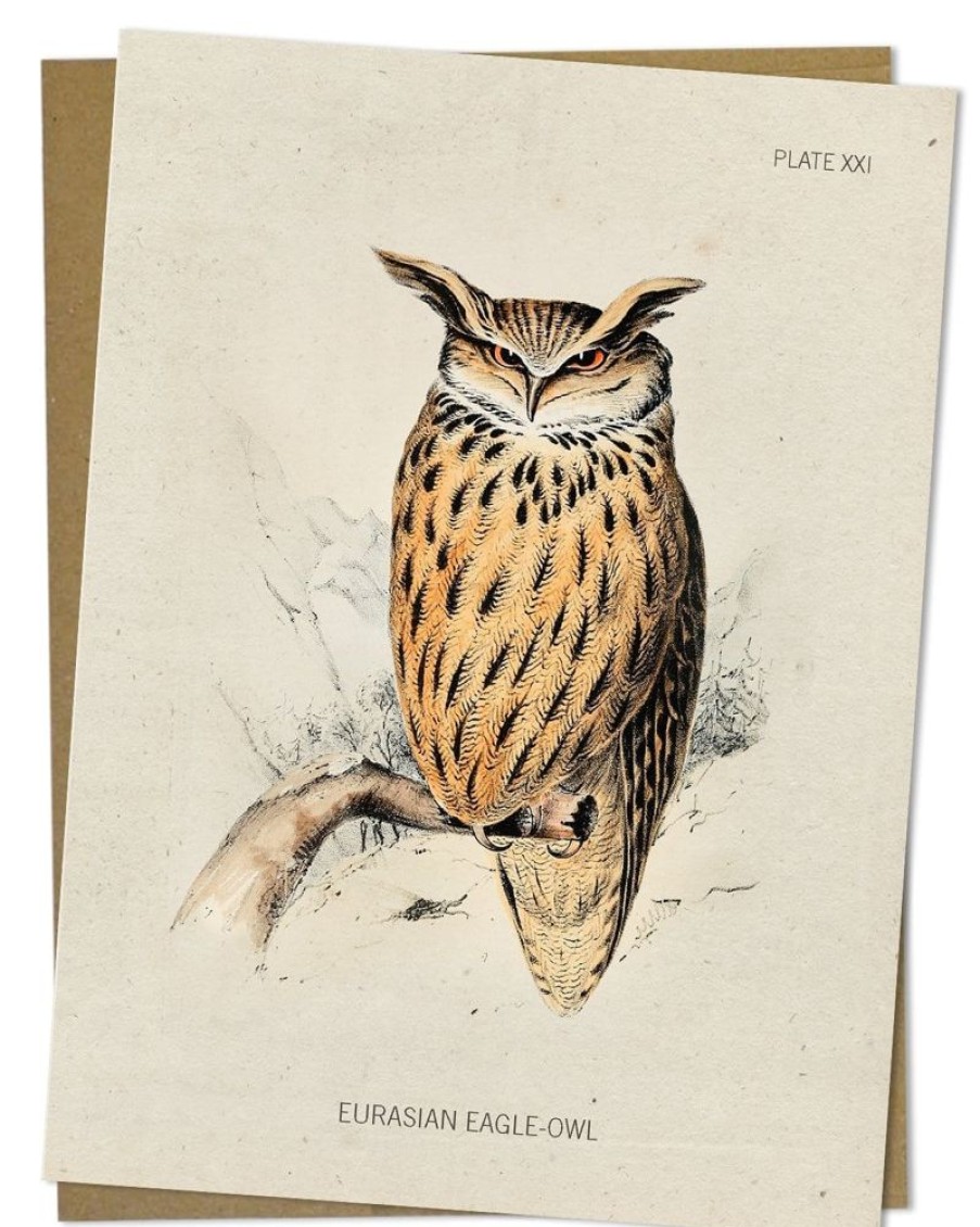 Stationery Cognitive Surplus | Eagle-Owl Bird Card - Science Stationery | Cognitive Surplus