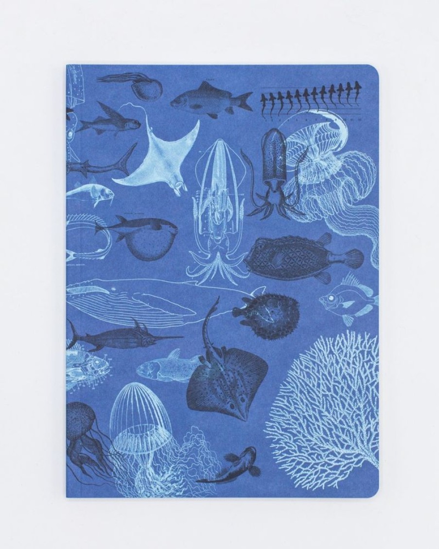 Notebooks Cognitive Surplus | Marine Biology Notebook - Softcover | Recycled Notebook