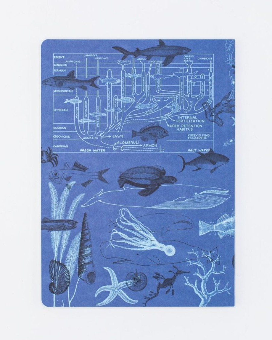 Notebooks Cognitive Surplus | Marine Biology Notebook - Softcover | Recycled Notebook