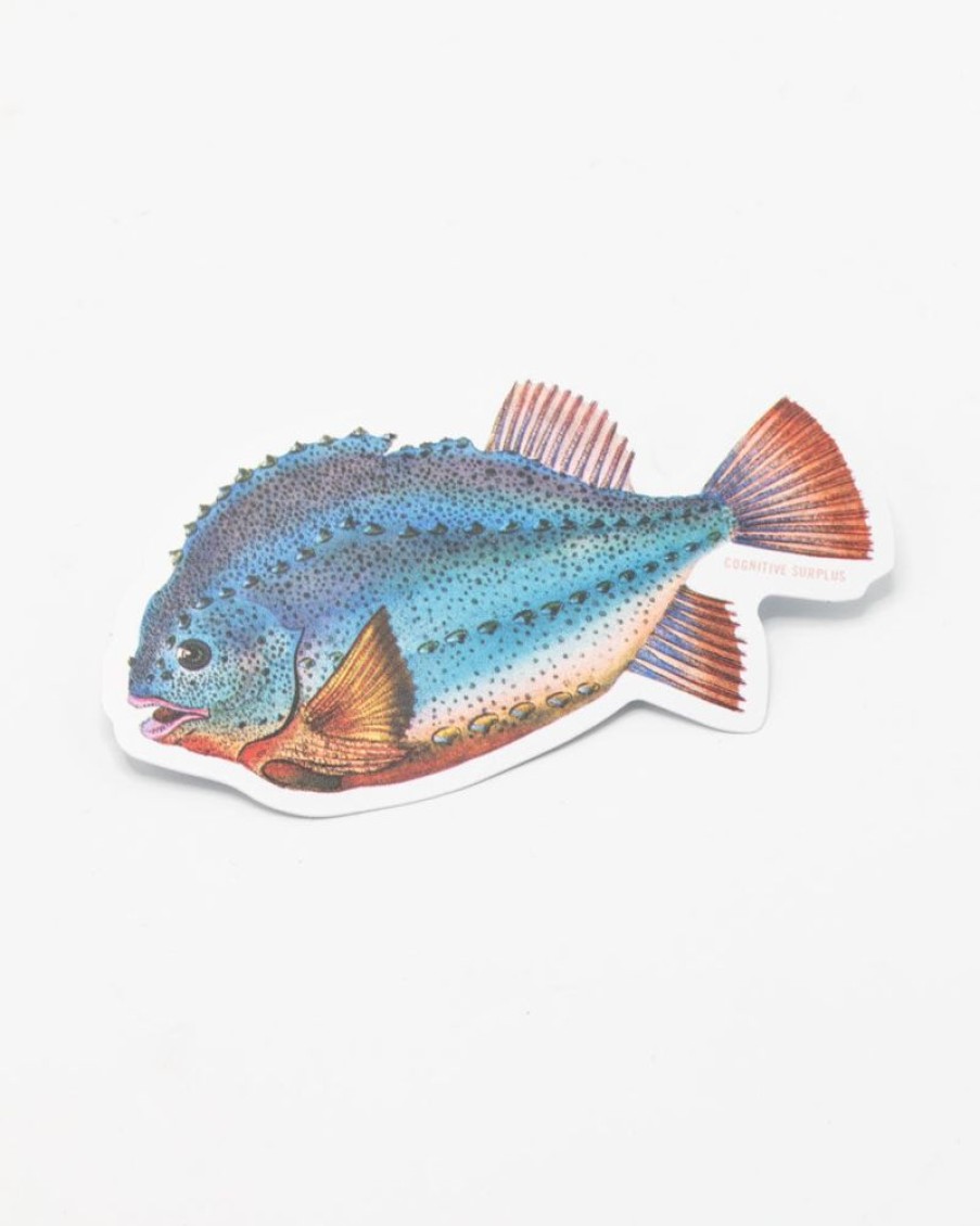 Stationery Cognitive Surplus | Lump Fish Sticker