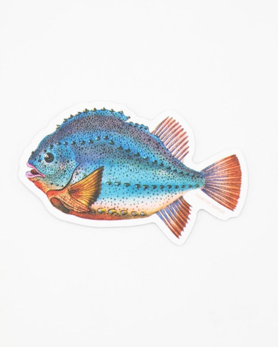 Stationery Cognitive Surplus | Lump Fish Sticker