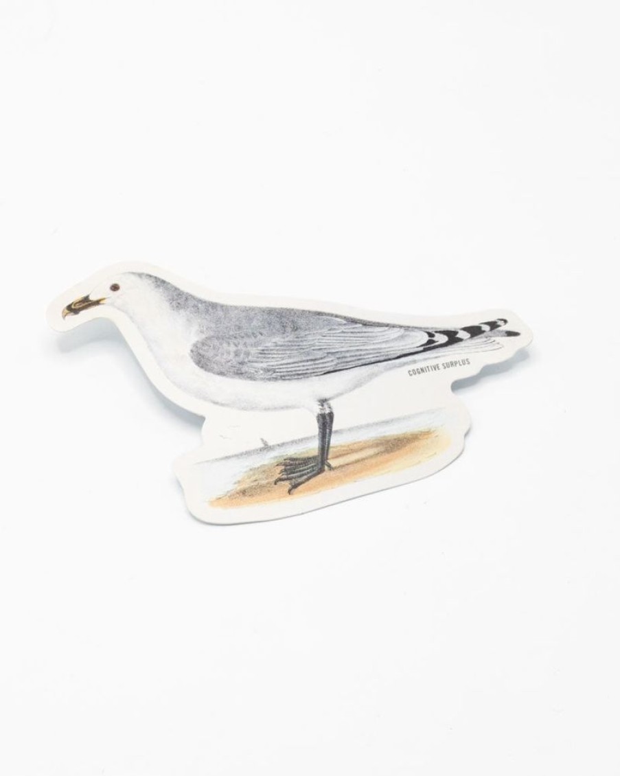 Stationery Cognitive Surplus | American Gull Sticker