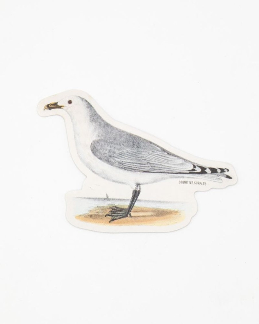 Stationery Cognitive Surplus | American Gull Sticker