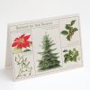 Stationery Cognitive Surplus | Botany Holiday Card - Science Christmas Card | Cognitive Surplus