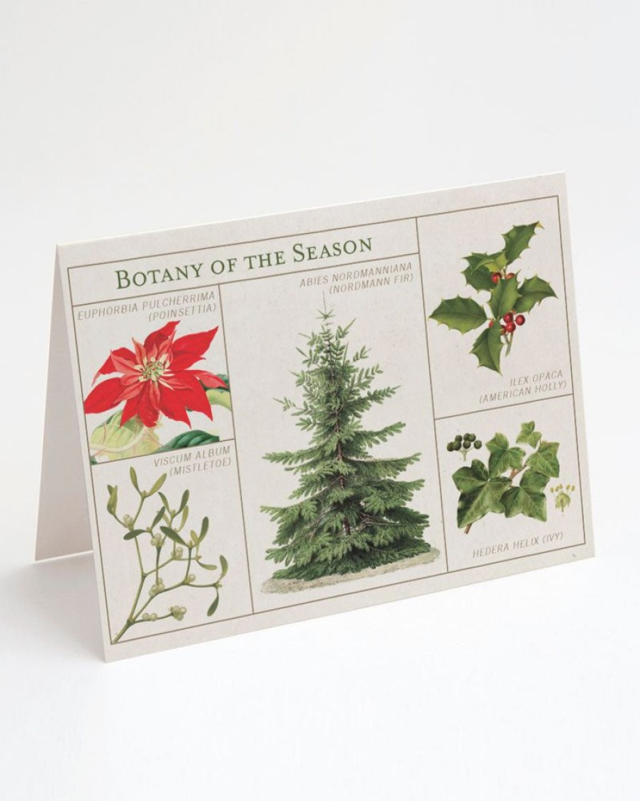 Stationery Cognitive Surplus | Botany Holiday Card - Science Christmas Card | Cognitive Surplus