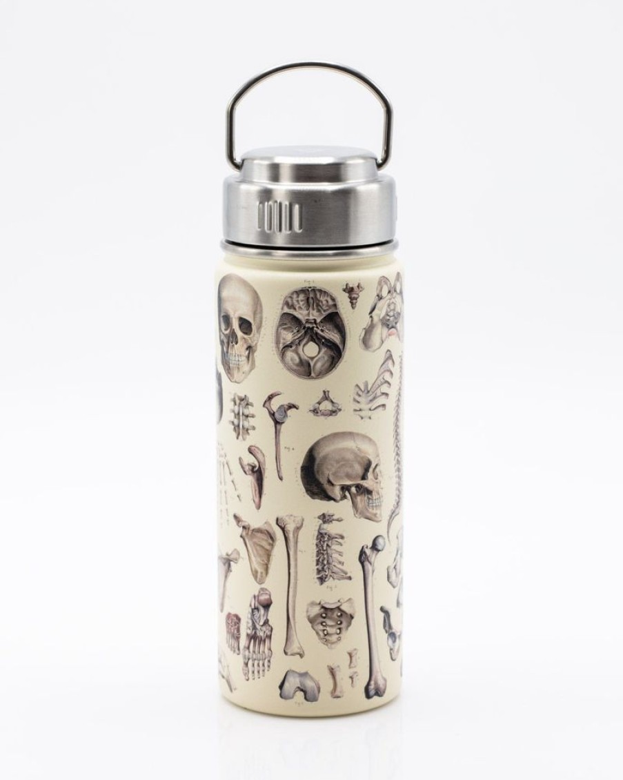 Kitchen + Bar Cognitive Surplus | Brain Neuroscience Stainless Steel Flask / Insulated Travel Thermos