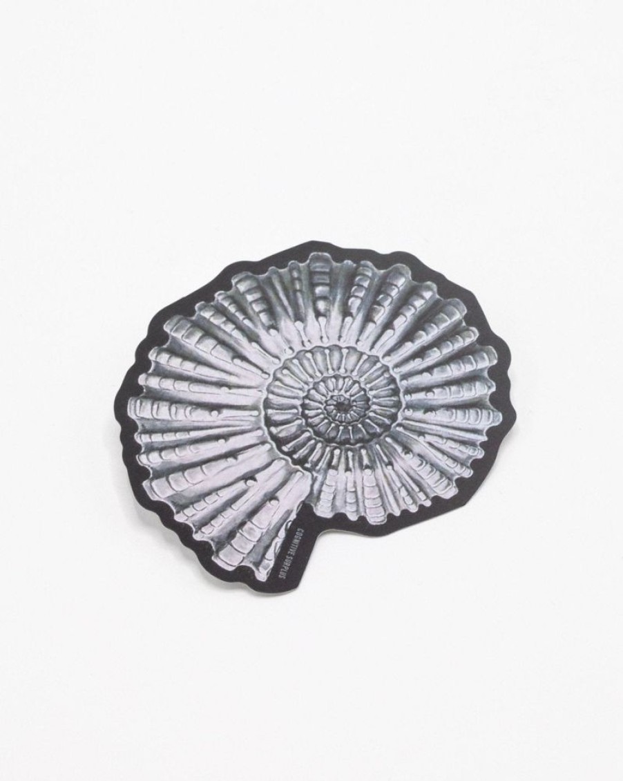 Stationery Cognitive Surplus | Ammonite Fossil Sticker