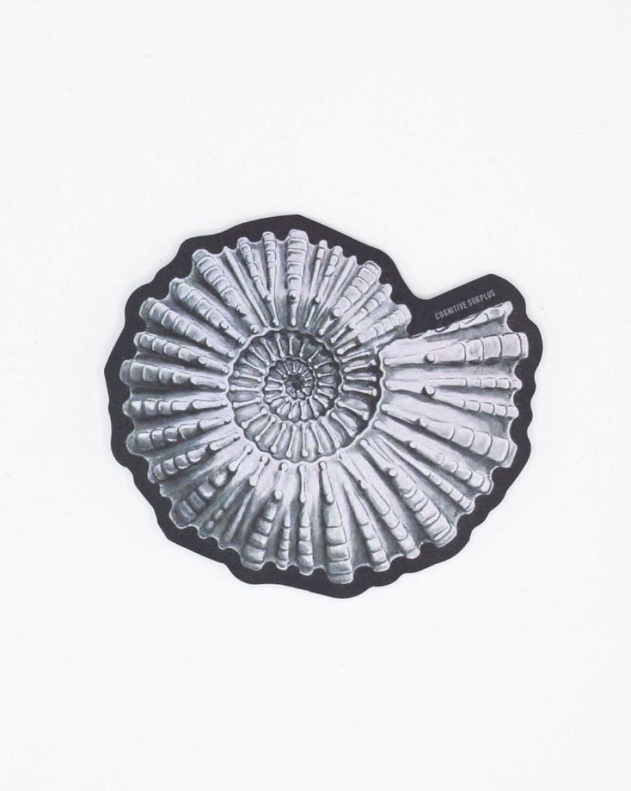 Stationery Cognitive Surplus | Ammonite Fossil Sticker