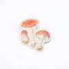 Stationery Cognitive Surplus | Fly Agaric Poisonous Mushrooms Sticker