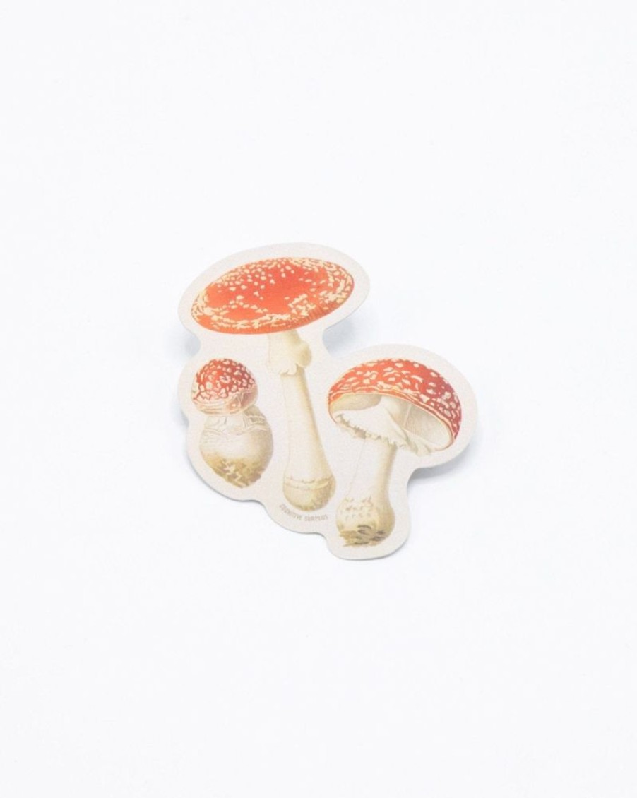 Stationery Cognitive Surplus | Fly Agaric Poisonous Mushrooms Sticker