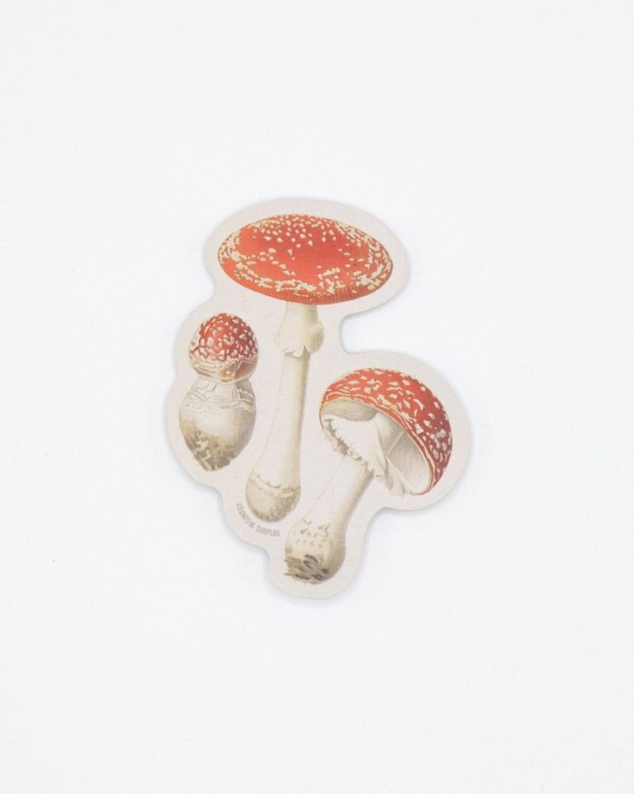 Stationery Cognitive Surplus | Fly Agaric Poisonous Mushrooms Sticker