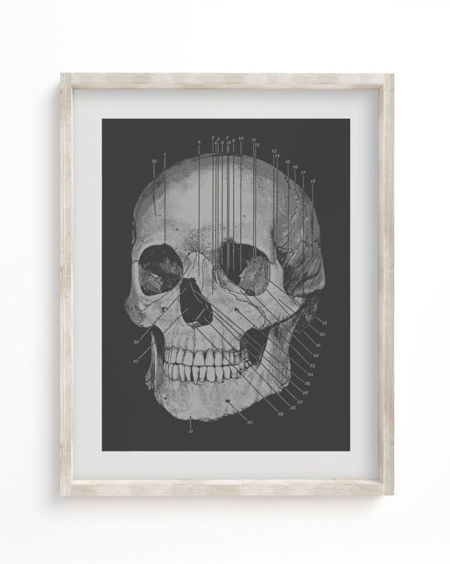 Wall Art Cognitive Surplus | Anatomy Medical Illustration Art Print | Cognitive Surplus