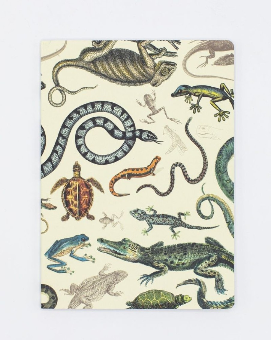 Notebooks Cognitive Surplus | Serpents: Reptiles & Amphibians Softcover Notebook - Dot Grid