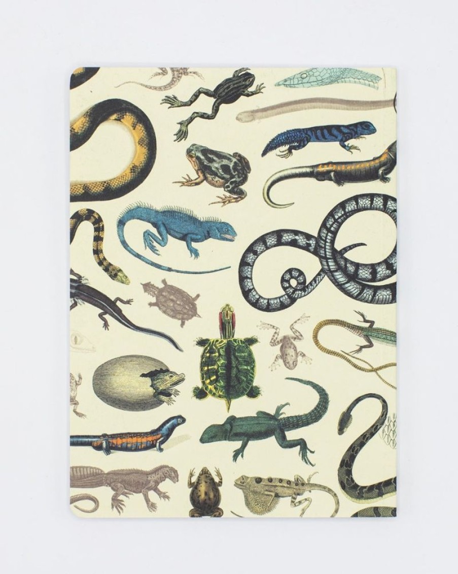 Notebooks Cognitive Surplus | Serpents: Reptiles & Amphibians Softcover Notebook - Dot Grid