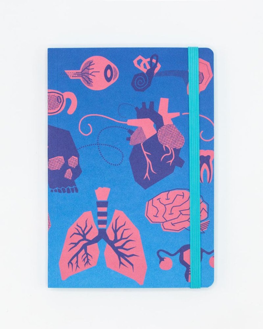 Notebooks Cognitive Surplus | Anatomy & Physiology A5 Notebook - Dotted Lines | Cognitive Surplus