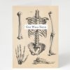 Stationery Cognitive Surplus | Get Well Soon Card - Skeleton Greeting Card | Cognitive Surplus