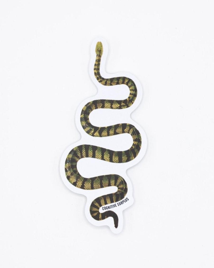 Stationery Cognitive Surplus | Green Snake Sticker