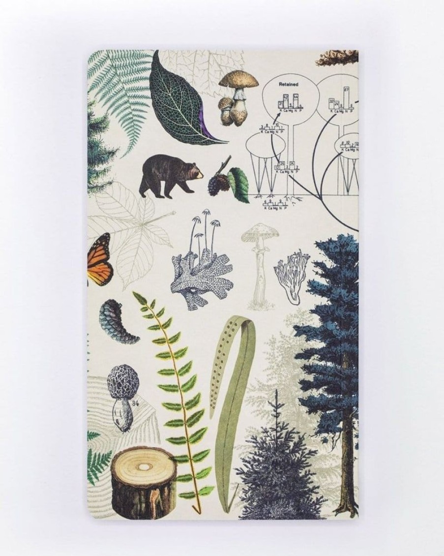 Notebooks Cognitive Surplus | Woodland Forest Yearly Planner