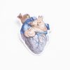 Stationery Cognitive Surplus | Anatomical Heart Sticker