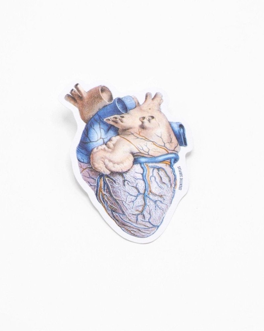 Stationery Cognitive Surplus | Anatomical Heart Sticker