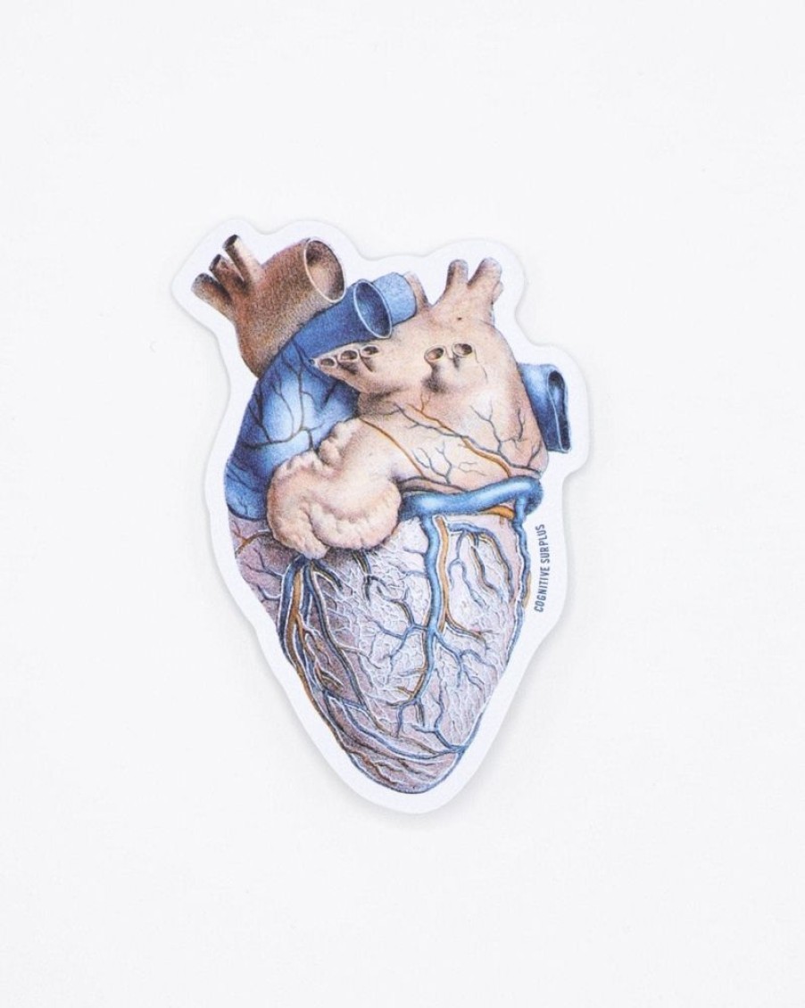 Stationery Cognitive Surplus | Anatomical Heart Sticker