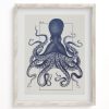 Wall Art Cognitive Surplus | Octopus Scientific Illustration Museum Print