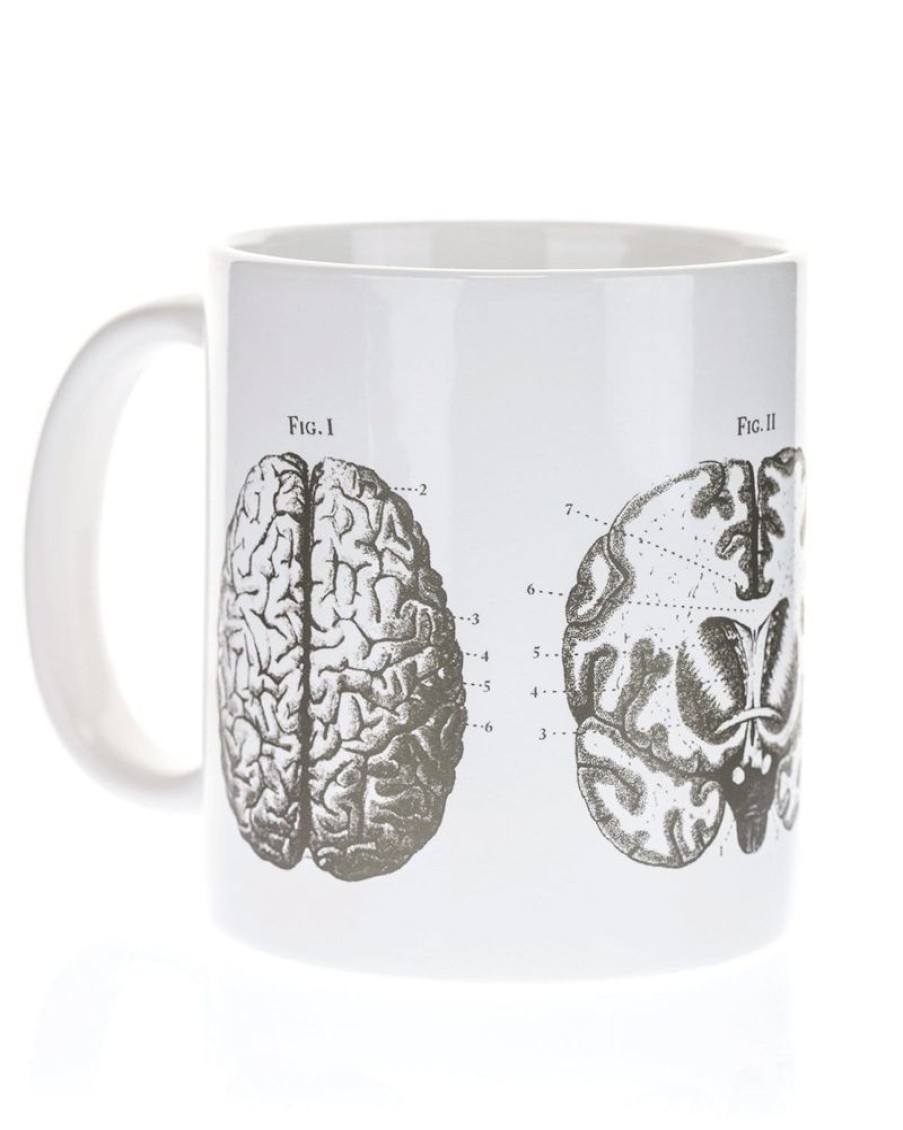 Kitchen + Bar Cognitive Surplus | Brain Mug 20 Oz | Cognitive Surplus