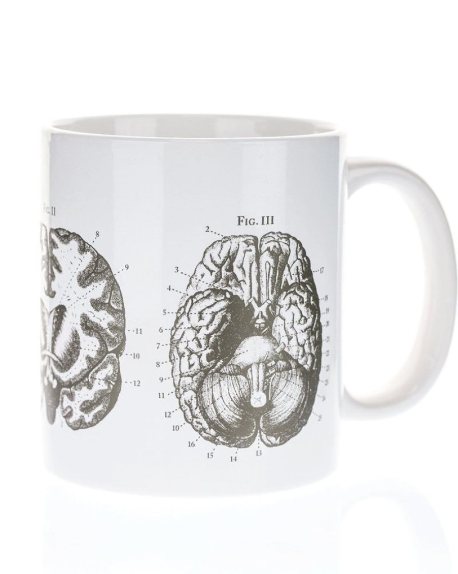 Kitchen + Bar Cognitive Surplus | Brain Mug 20 Oz | Cognitive Surplus