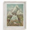 Wall Art Cognitive Surplus | Mountain Regions 2 Scientific Illustration Museum Print