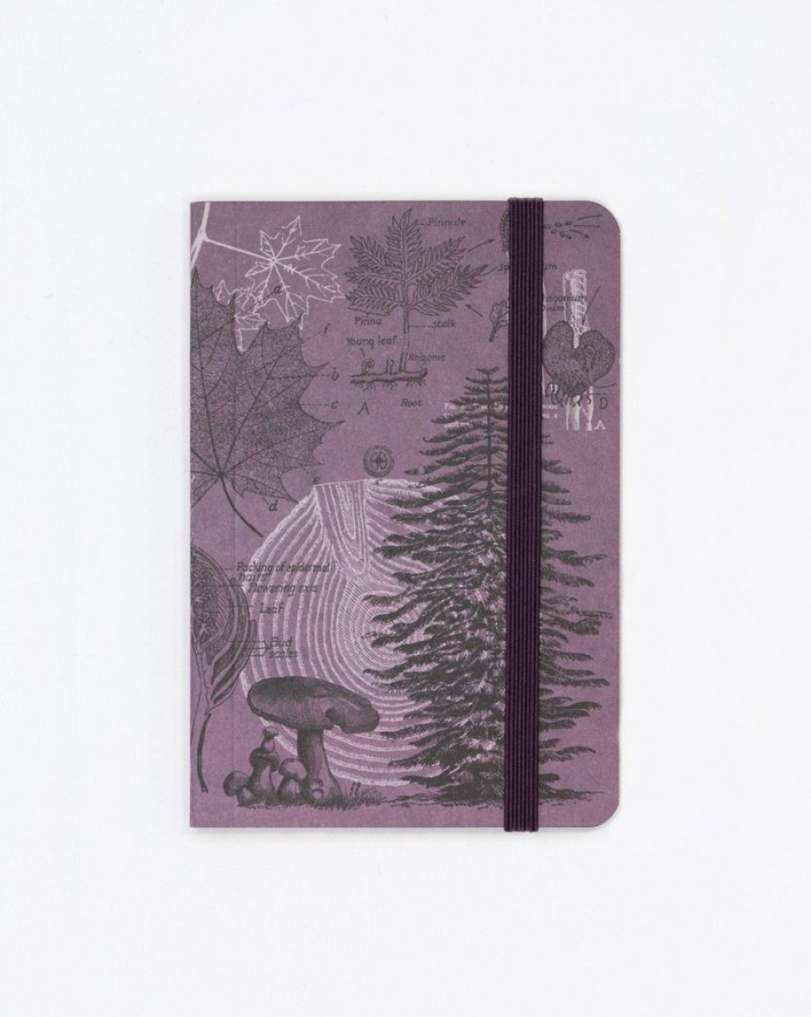 Notebooks Cognitive Surplus | Forest At Dusk Observation Softcover