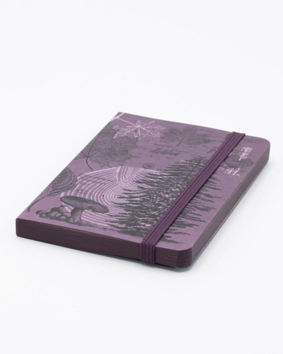 Notebooks Cognitive Surplus | Forest At Dusk Observation Softcover