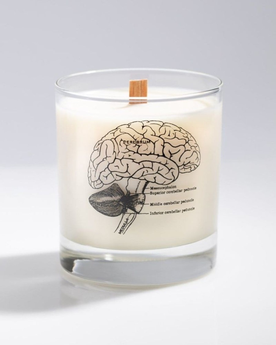 Home Cognitive Surplus | Brain Cocktail Candle